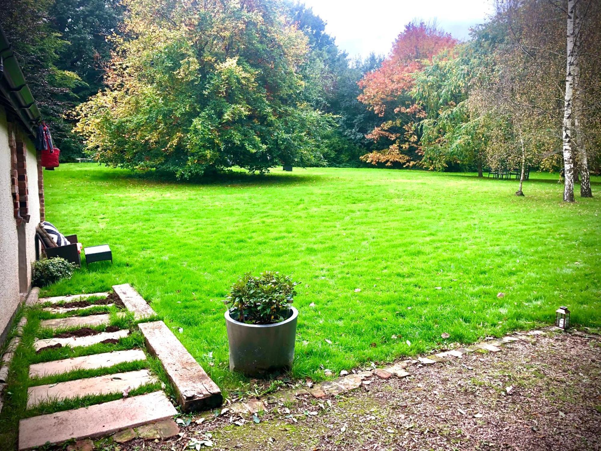 Orient House Daire Exeter Dış mekan fotoğraf